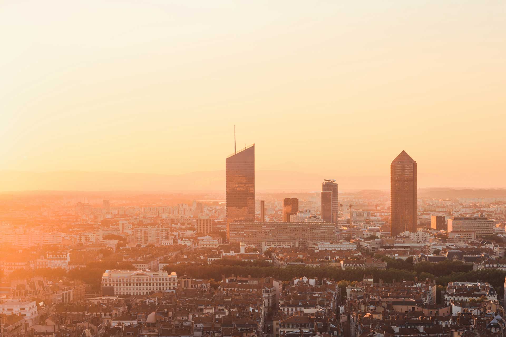 Notaire société dirigeant Lyon